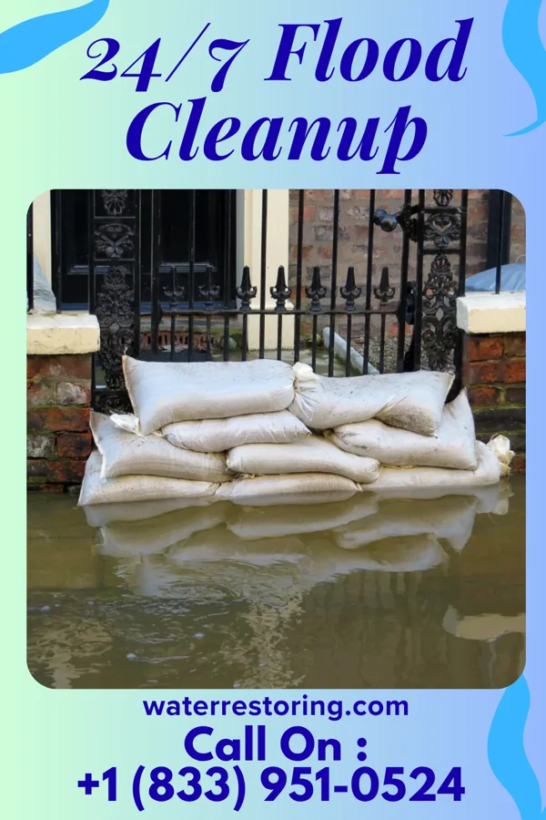 24/7 Flood Cleanup in Fruitland, MD