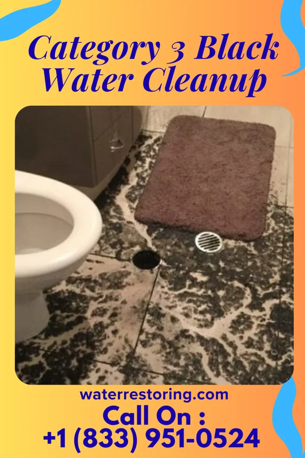 Category 3 Black Water Cleanup in Fruitland, MD