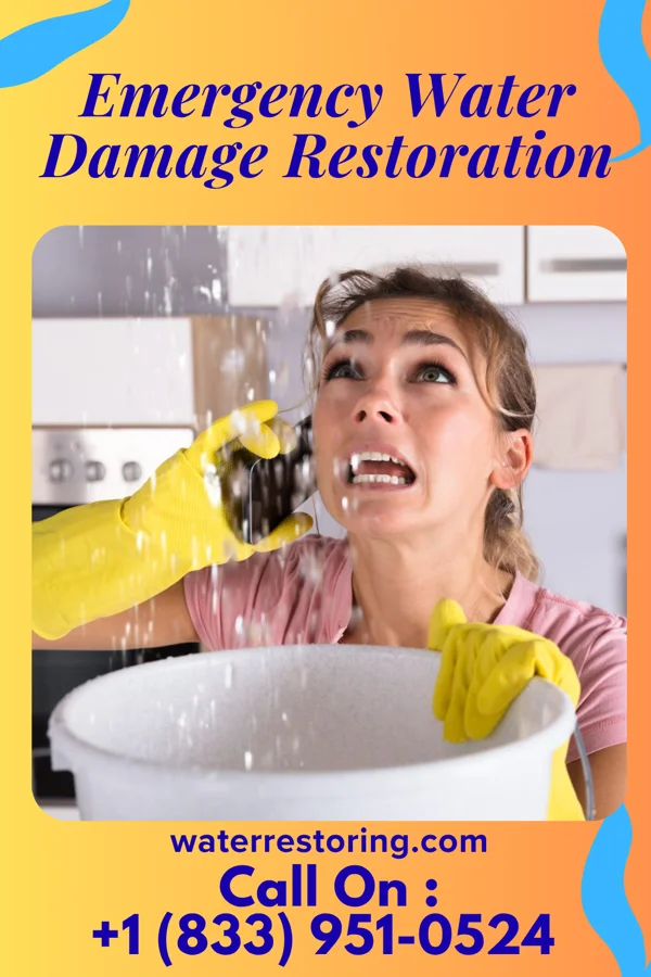 Emergency Water Damage Restoration in Fruitland, MD