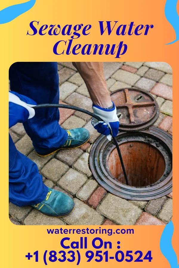Sewage Water Cleanup in Fruitland, MD